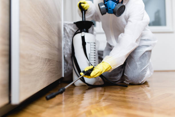 Best Bed Bug Extermination  in Soh Weber, UT