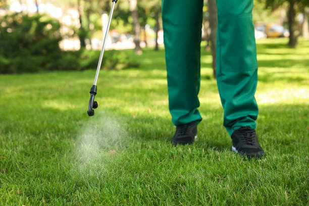 Best Local Pest Control Services  in Soh Weber, UT