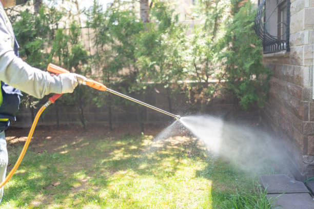 Reliable South Weber, UT Pest Control Solutions