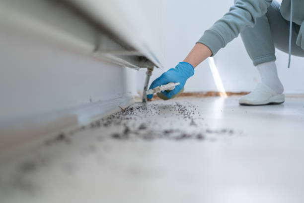 Best Affordable Pest Control Services  in Soh Weber, UT